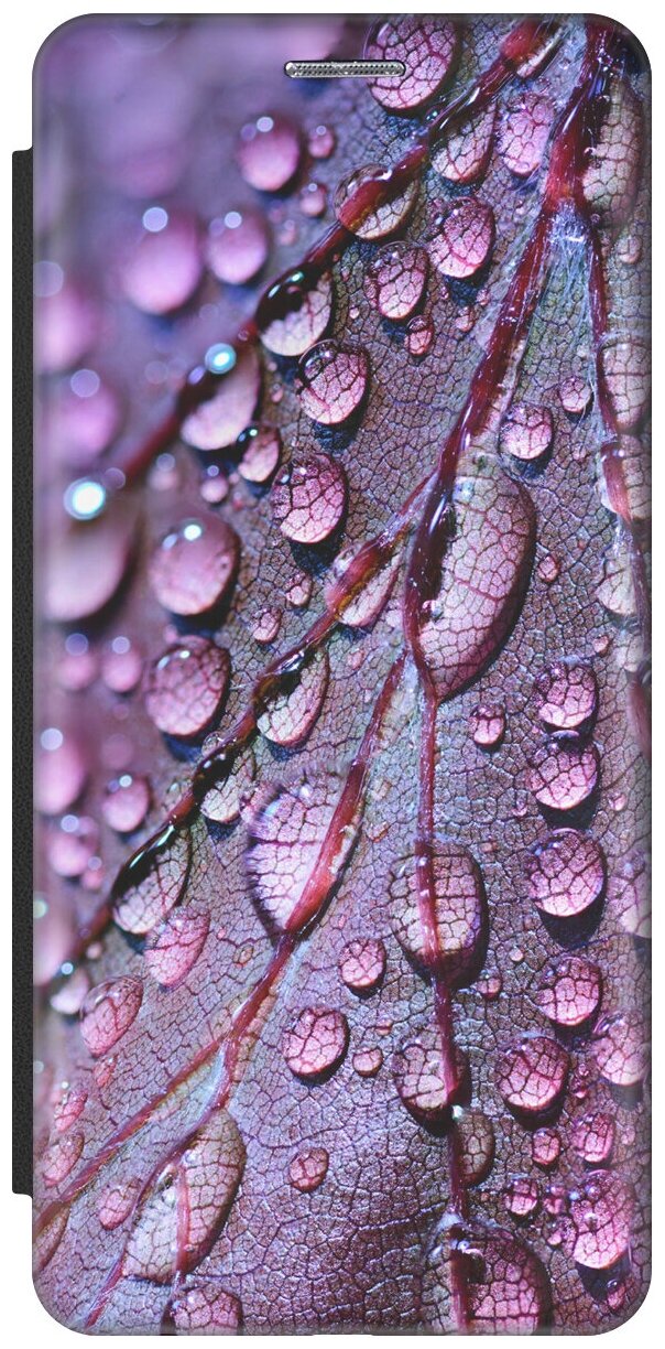 Чехол-книжка Лист в каплях на Apple iPhone SE / 5s / 5 / Эпл Айфон 5 / 5с / СЕ черный