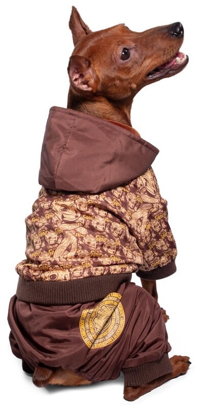 Комбинезон-дождевик для собак Triol Disney Marvel Малыш Грут, демисезонный, размер S, 25 см - фотография № 5