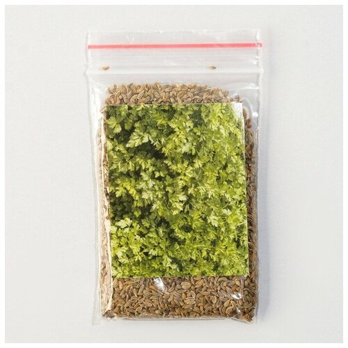 Семена Петрушка 