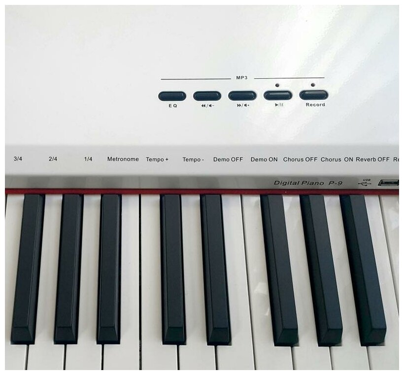 Цифровое пианино Sai Piano P-9