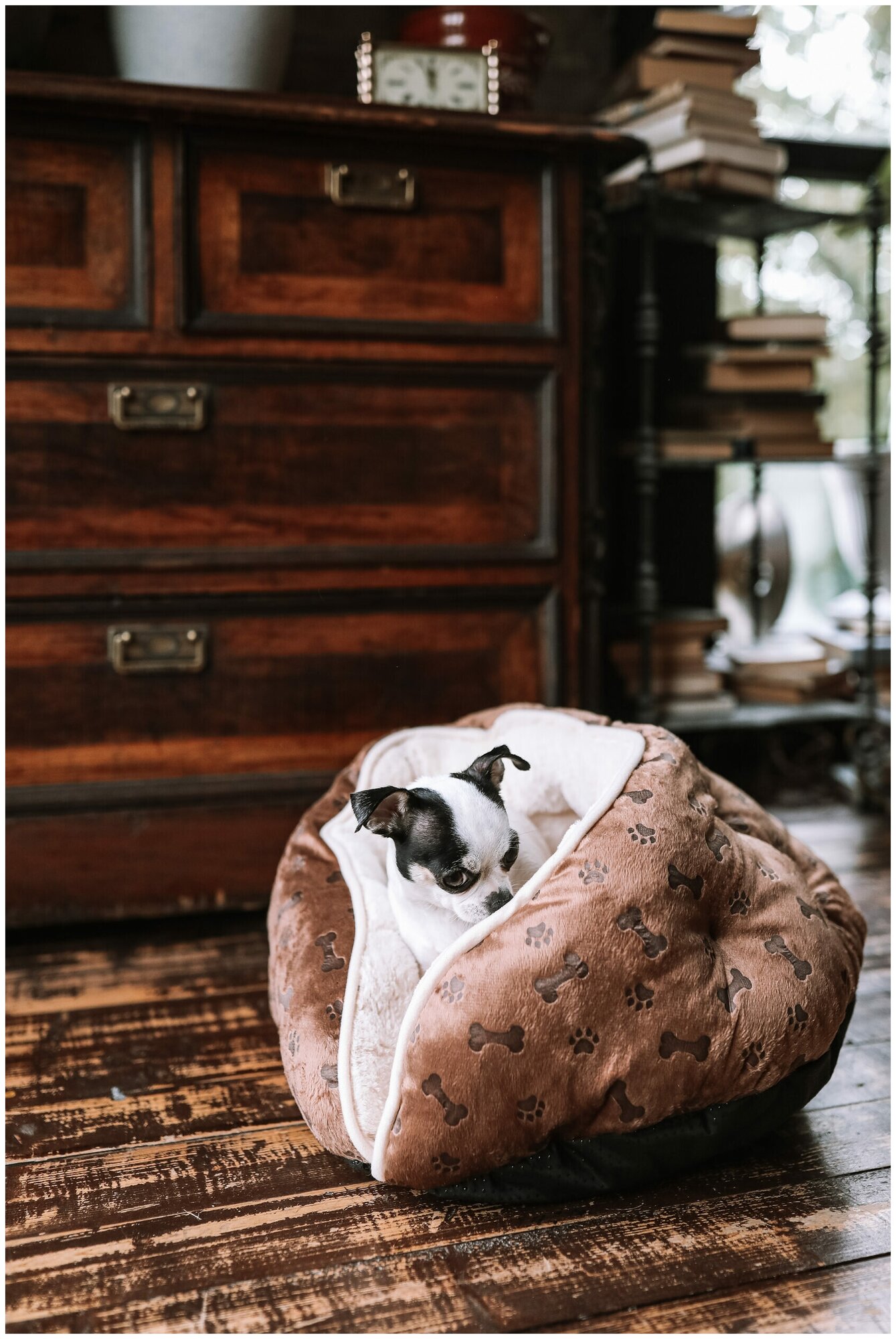 Лежаки Для Животных Xiaomi Лежанка для животного, Релакс пуфик, коричневый размер: 55*55*32 "Не Один Дома"