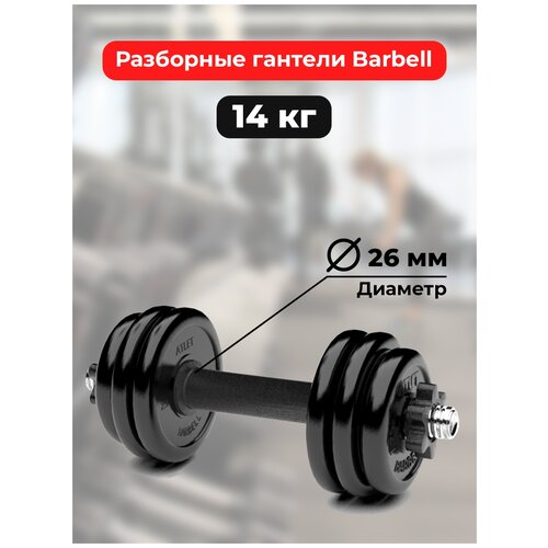 Гантель разборная MB Barbell резина черный гантель разборная barbell mb fdbm31 at9 5