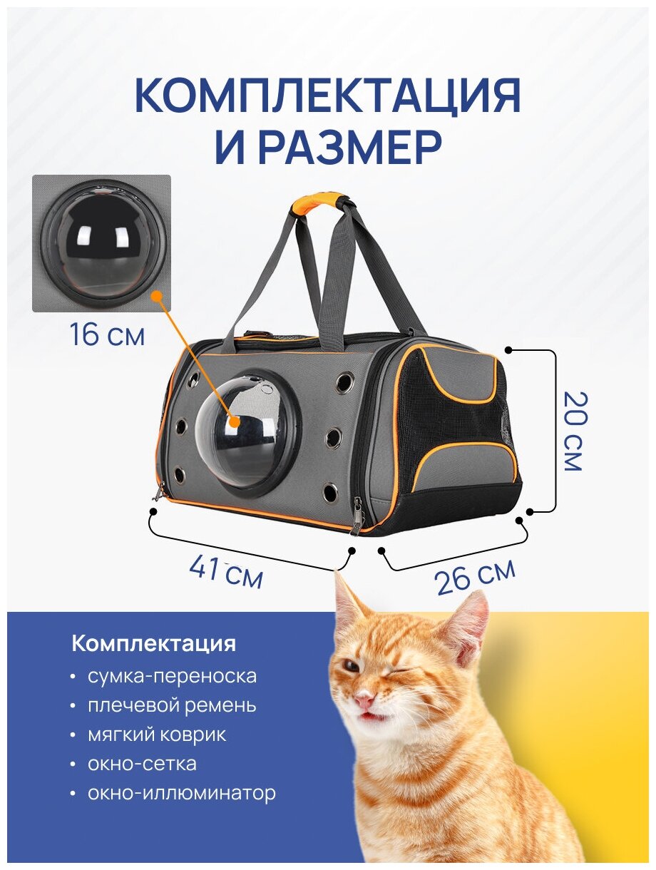 BestPets Переноска для кошек, перевозка для собак мелких пород, сумка переноска для животных для самолета - фотография № 3