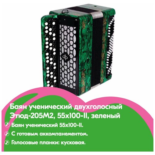 Баян Тульская Гармонь BN-40-GR Баян ученический двухголосный Этюд-205М2, 55х100-II, зеленый