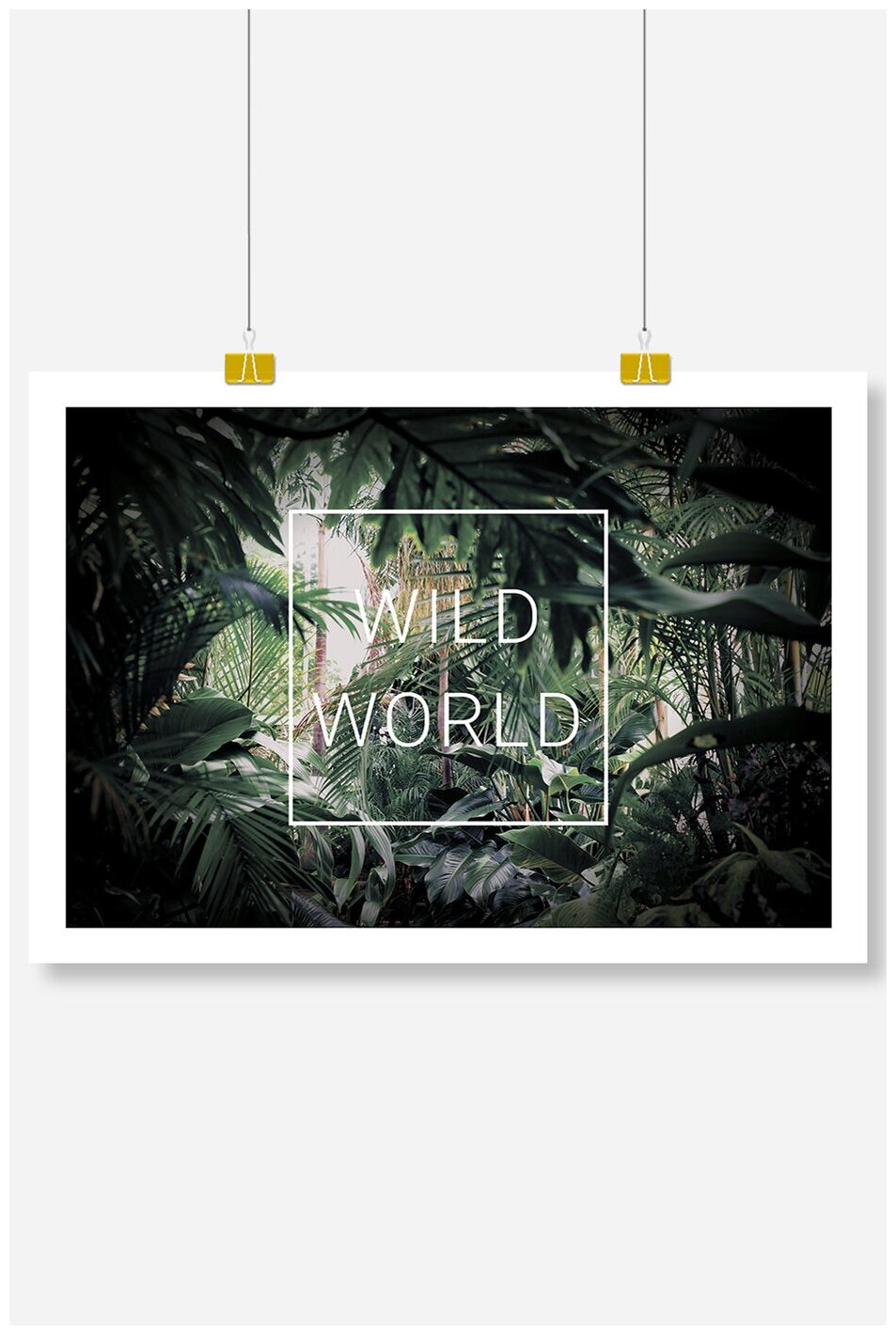 Постер на стену для интерьера Postermarkt Wild world, размер 50х70 см, постеры картины для интерьера в тубусе