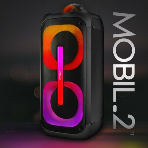 Акустическая система Ginzzu GM-112 10965₽