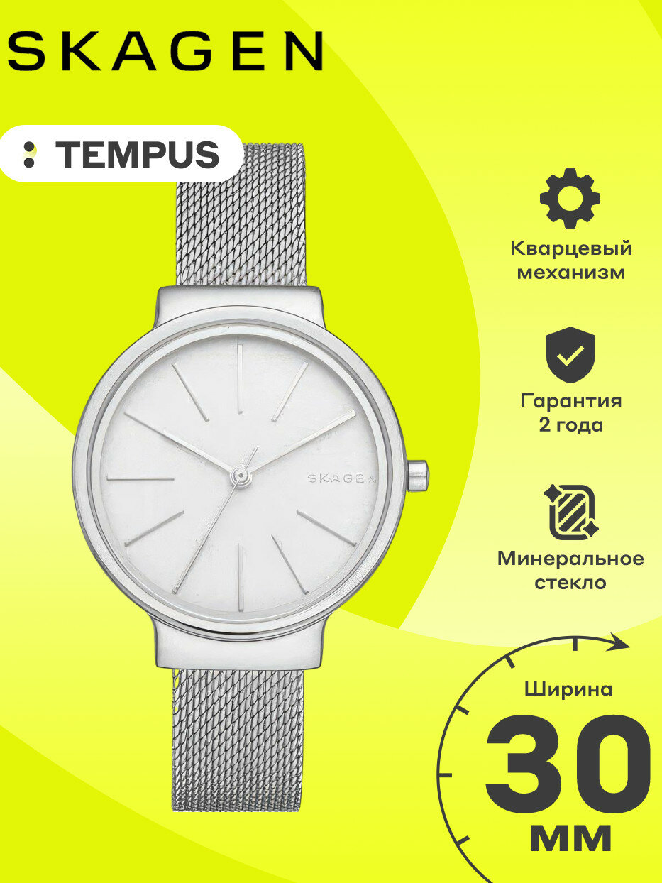 Наручные часы SKAGEN