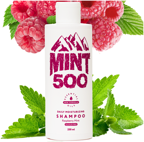 Увлажняющий бессульфатный шампунь для ежедневного применения с ароматом малины и мяты Mint500 Daily Moisturizing Shampoo Raspberry Mint 250 мл