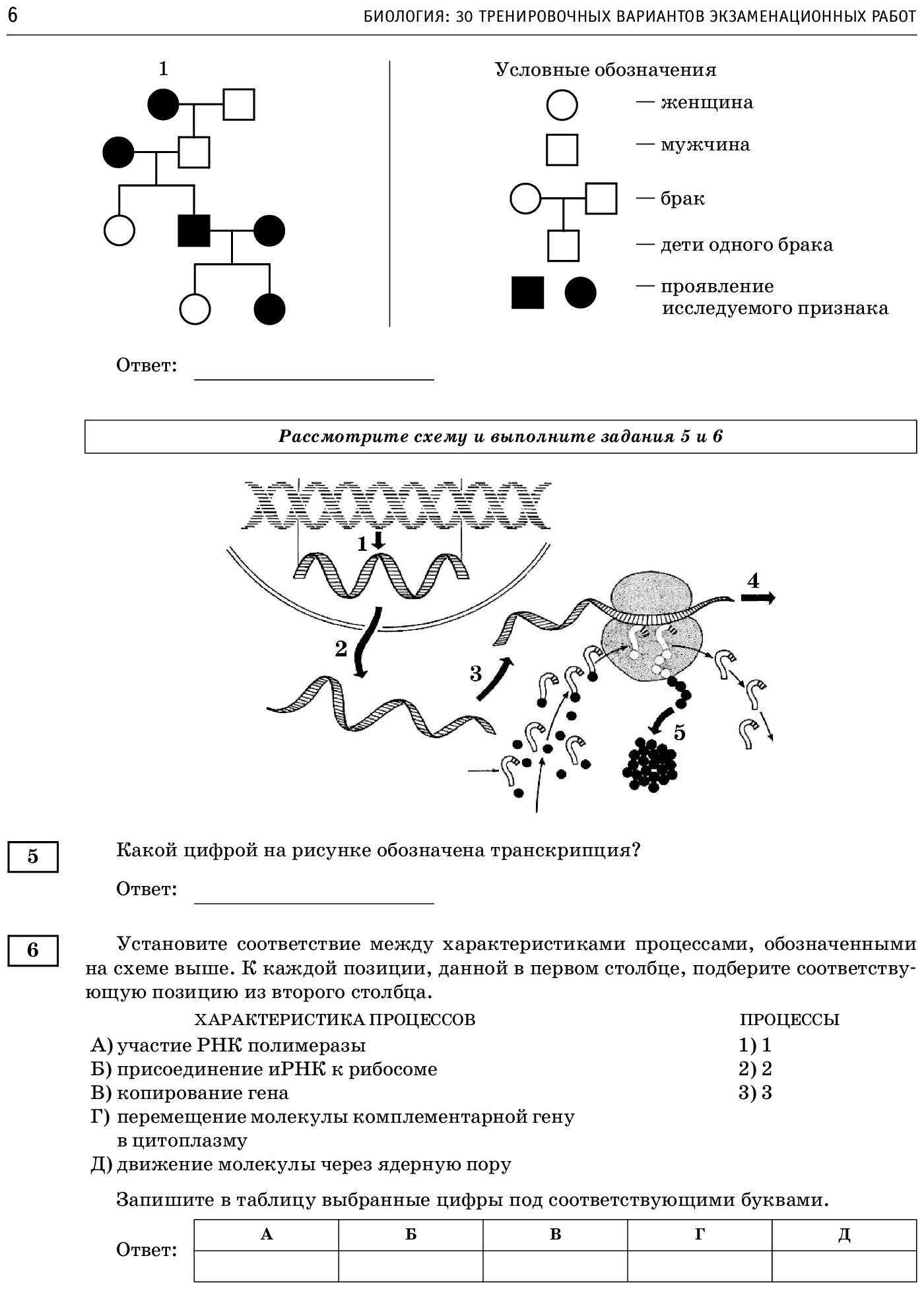 ЕГЭ-2023. Биология (60x84/8). 30 тренировочных вариантов экзаменационных работ для подготовки к единому государственному экзамену - фото №5
