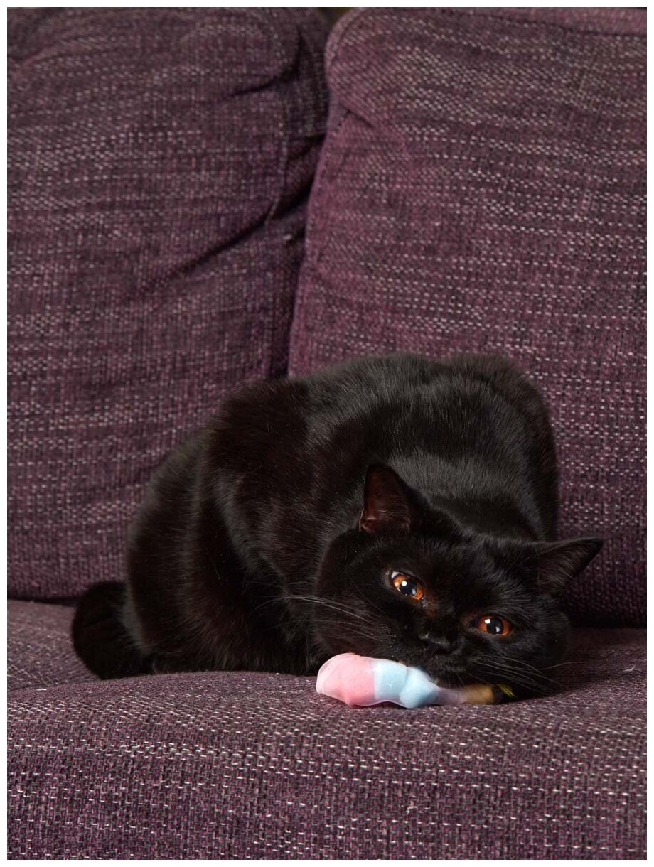 Игрушка для кошек и котят Japan Premium Pet в виде воздушной медузы, с функцией игры, серия "Волшебная коробка для кошек" - фотография № 4