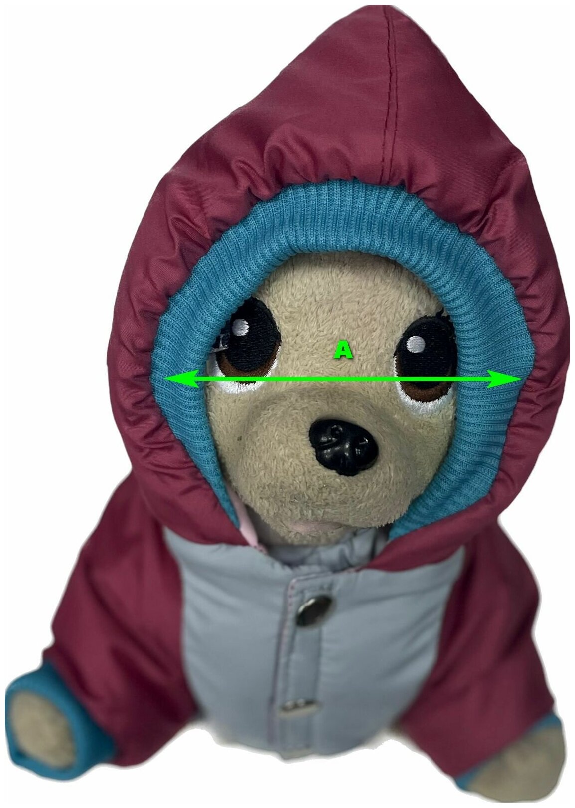 DogVille, Одежда для собак - комплект: полукомбинезон и куртка с капюшоном, на кнопках, зима, 52623д - фотография № 5