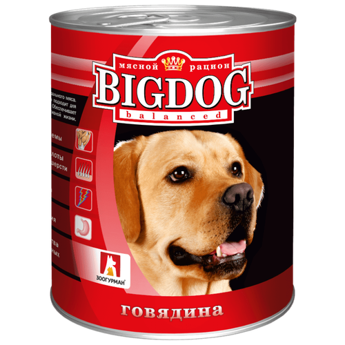 Влажный корм для собак Зоогурман Big Dog, говядина 1 уп. х 1 шт. х 850 г (для средних и крупных пород) влажный корм для собак зоогурман big dog говядина баранина 1 уп х 1 шт х 850 г для средних и крупных пород