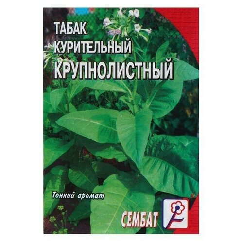 Семена Табак Крупнолистный 512, 0 01 г 22 упаковки семена мискантуса китайского miscanthus chinensis 0 01 г