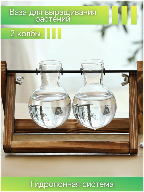 Гидропонная ваза 2 штуки стекло, набор горшков для цветов, ваза - колба на деревянной подставке, гидропоника