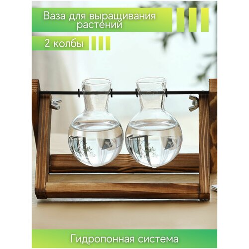 Гидропонная ваза стекло, набор горшков для цветов, ваза - колба на деревянной подставке, гидропоника