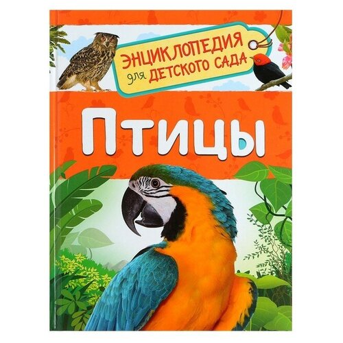 Энциклопедия для детского сада «Птицы», Гальцева С. Н.