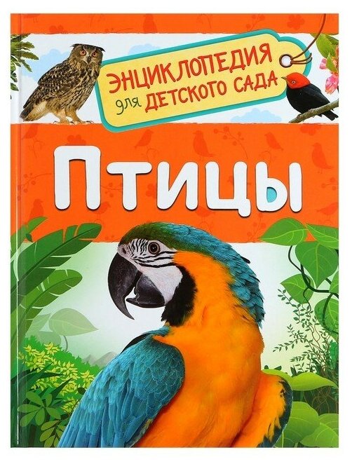 Энциклопедия для детского сада «Птицы», Гальцева С. Н.