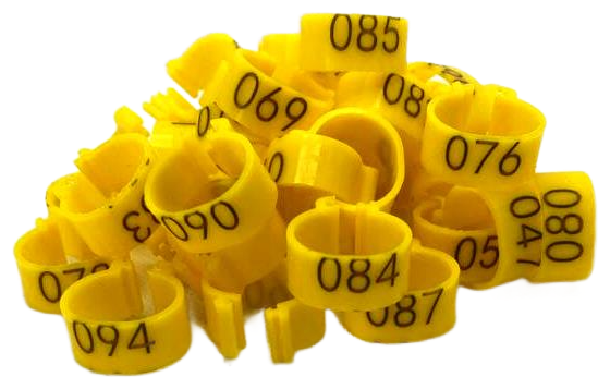 Меточные кольца с цифрами на лапу для кур (100шт) желтый. Маркировочные метки для маркировки кольцевания курей несушек, фазанов, цыплят бройлеров - фотография № 2