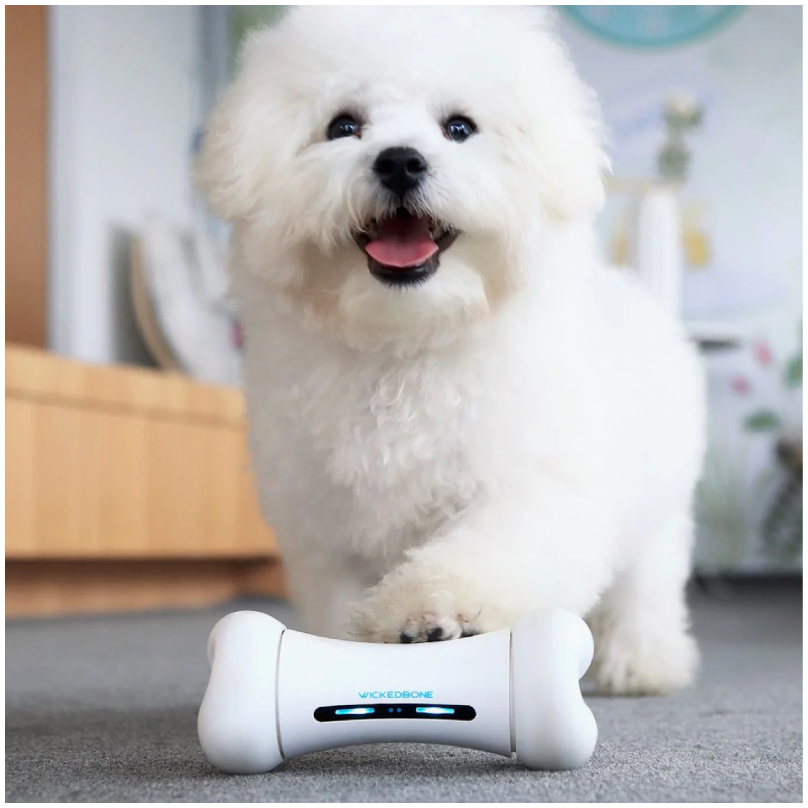 Интерактивная умная игрушка для собак, дразнилка кость Cheerble Wickedbone для мелких, средних, крупных пород, USB зарядка - фотография № 8