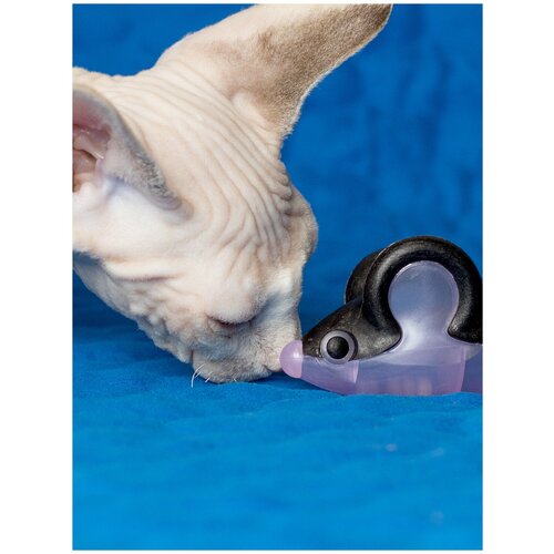 Игрушка для кошек Japan Premium Pet для чистки зубов и массажа десен пластиковая мышка с мататаби.