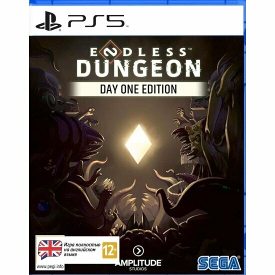 Игра PS5 Endless Dungeon Издание первого дня для