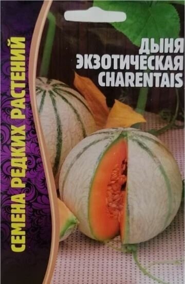 Дыня экзотическая Charentais 15 шт редкие семена