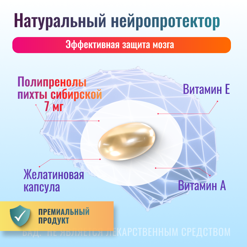 Изображение БАД для памяти, концентрации и энергии, витамины для женщин, витамины для мужчины, Нейропрен, 60 капсул