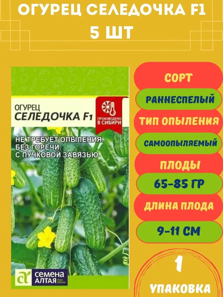 Семена Огурец Селедочка F1, 5 семян 1 упаковка