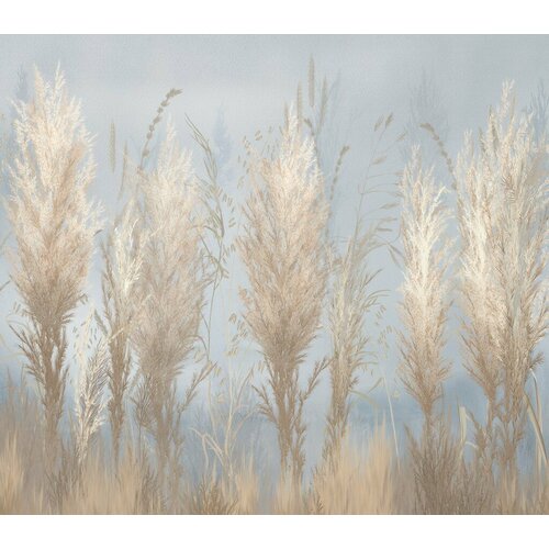 Фотообои Пампасная трава на сером фоне 14-897-M-Холст 270 x 300 см (ВхШ) бесшовные, флизелиновые, влагостойкие обои