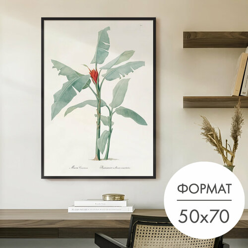 фото Постер "тропическое растение" 50x70 без рамки на стену для интерьера 28 kartin