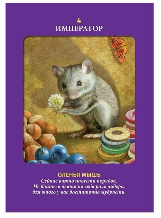Таро животных (78 карт с инструкцией) - фото №3