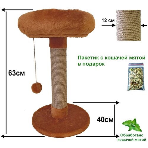 Когтеточка - комплекс 