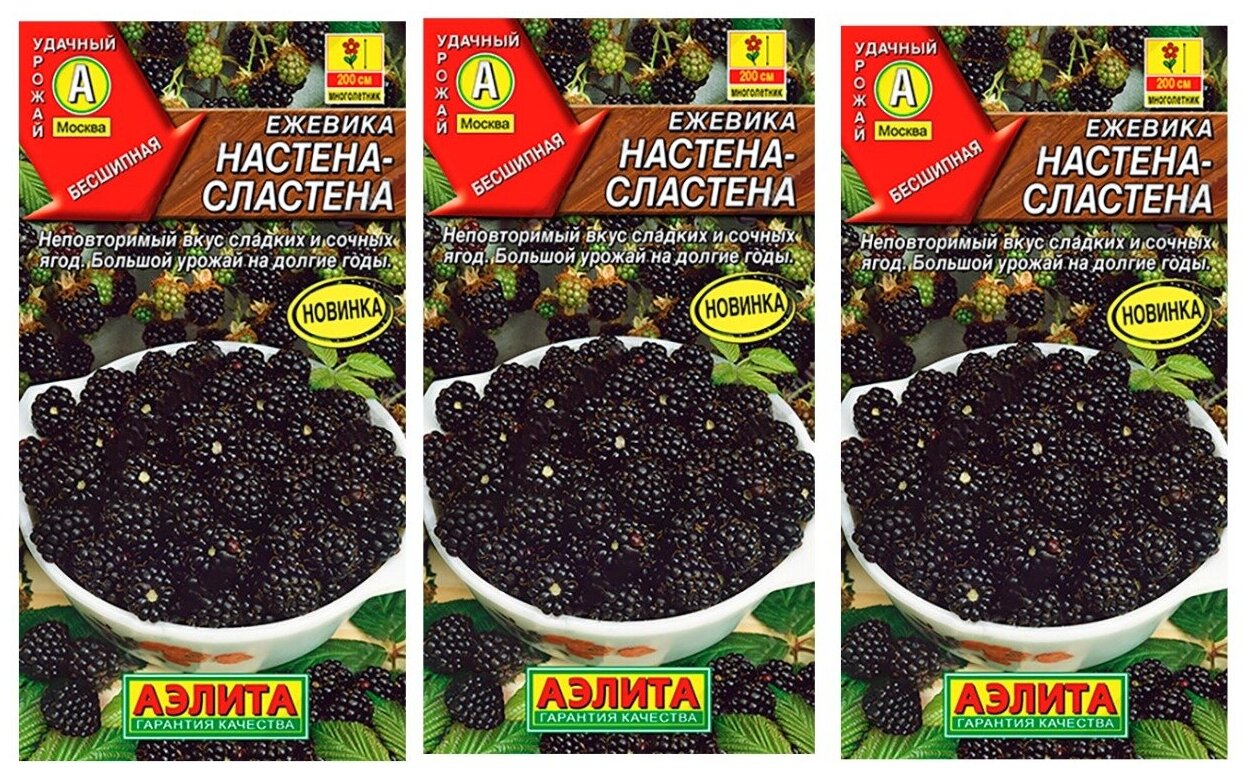 Семена Ежевика Настена-сластена 3 пакета