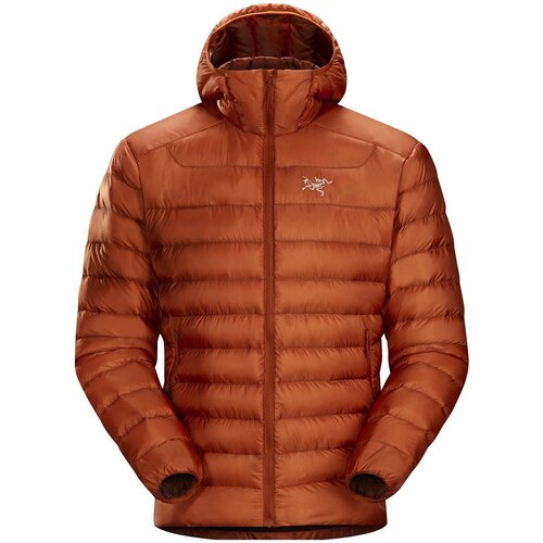 Куртка для активного отдыха Arcteryx 2022-23 Cerium LT Hoody Dynasty (US:M)