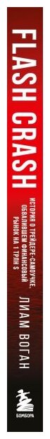 Flash Crash. История о трейдере-самоучке, обвалившем финансовый рынок на 1 трлн $ - фото №2