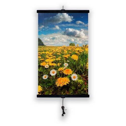 Обогреватель - картина настенный инфракрасный поле 400 Вт размер 57 х 100 см 1990₽