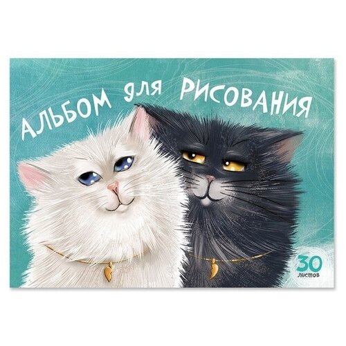 Альбом для рисования на клею Funny Cats, А4, 30 листов