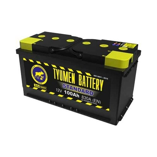 Автомобильный аккумулятор TYUMEN Battery STANDART 6CT-100.1 L