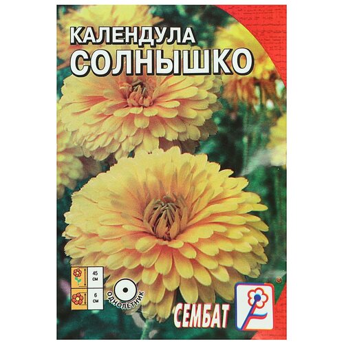 Семена цветов Календула 'Солнышко', 0,2 г календула оранжевый гигант семена цветы