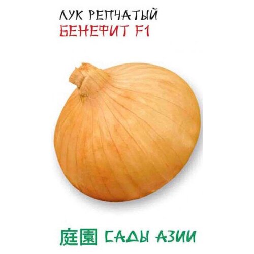 Семена Лук репчатый Сады Азии Бенефит F1 0.5г