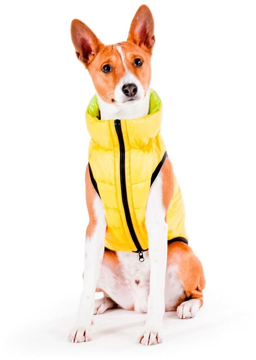 Курточка для собак AiryVest двусторонняя, размер M 40, салатово-желтая - фотография № 9