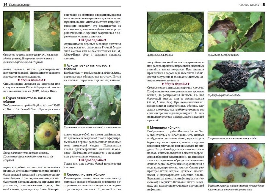 Атлас-определитель. Болезни и вредители плодовых растений - фото №2