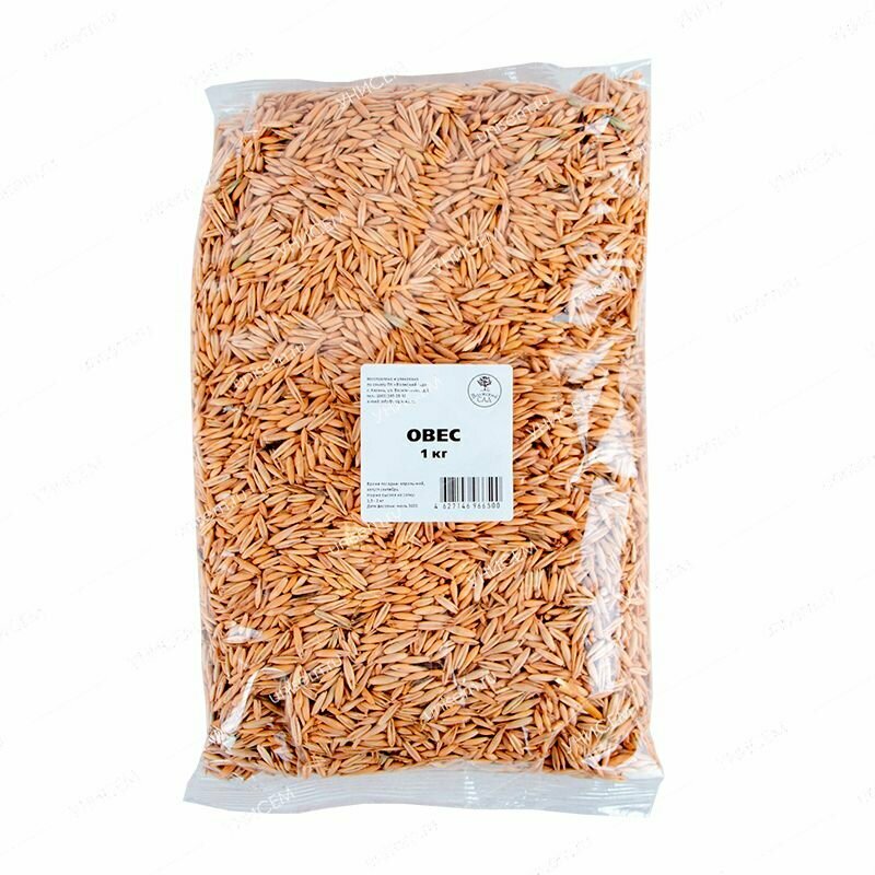 Овес 1 кг (Сидерат) Волжский Сад