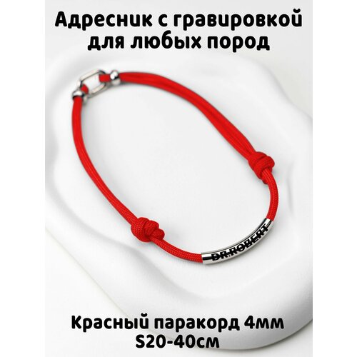 Украшение. Тихий адресник с гравировкой. Жетон 50мм на шнурке 4мм. Красный S