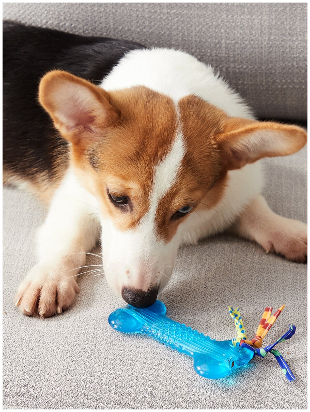 Petstages игрушка для собак Mini "орка косточка" 10 см - фотография № 5