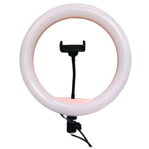 Светодиодная кольцевая LED селфи лампа 26см без штатива 82500₽