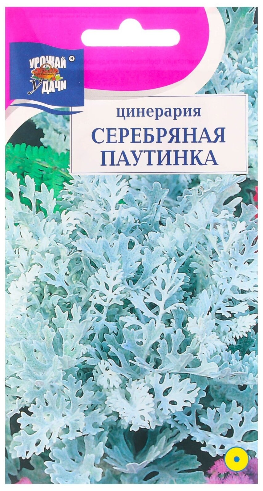 Семена Урожай удачи Цинерария серебряная паутинка 01 г