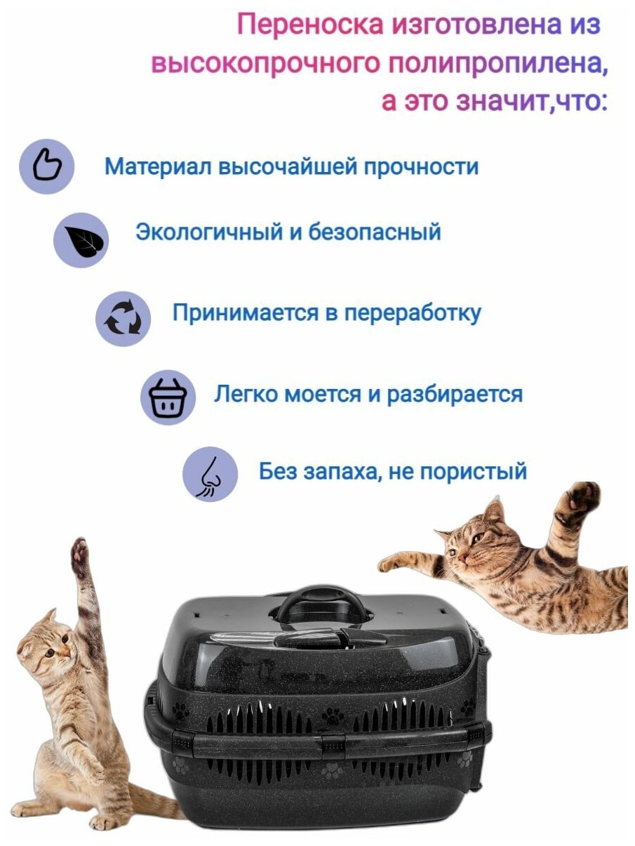 Переноска пластиковая для кошек и собак до 9 кг - фотография № 2