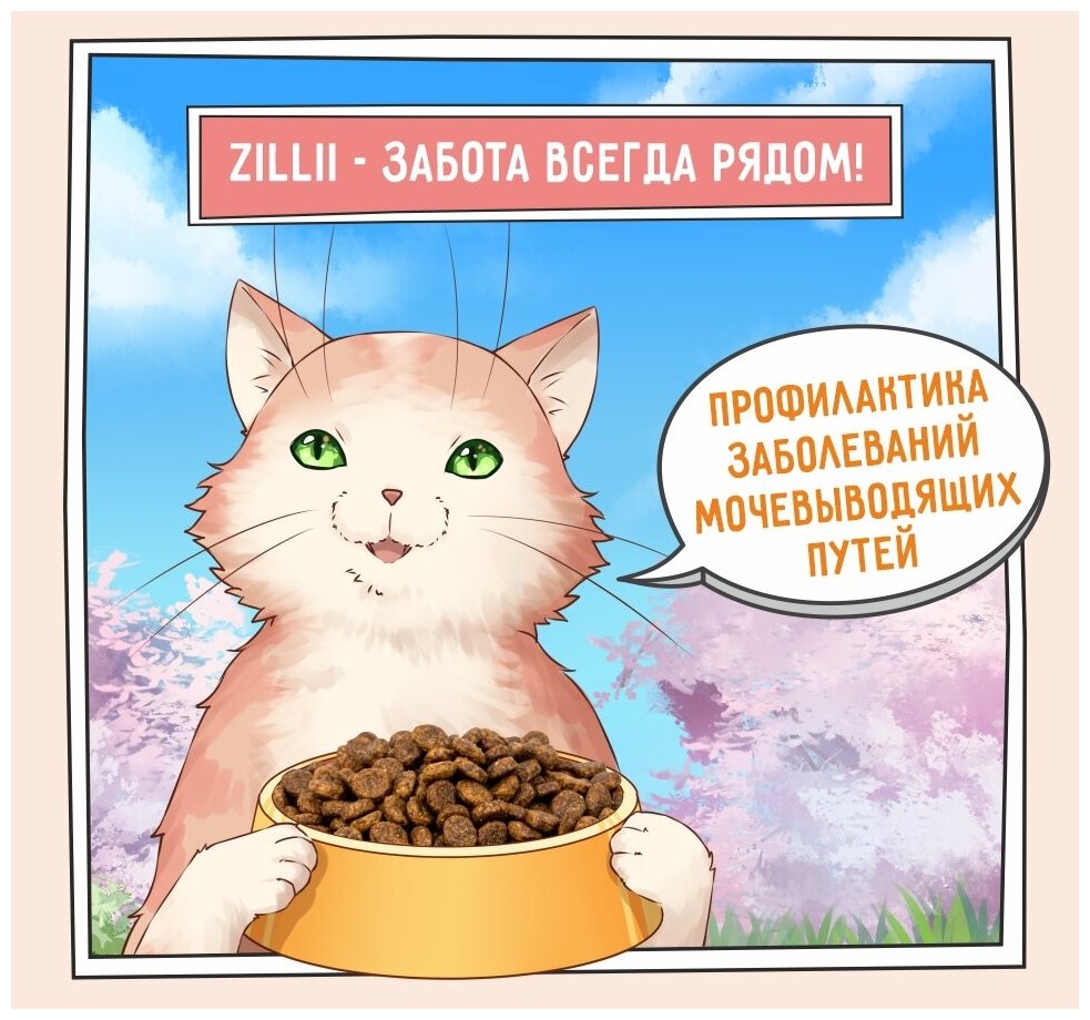 ZILLII (Зиллии) Urinary Care Cat Сухой корм для взрослых кошек РН контроль 10 кг Индейка - фотография № 5