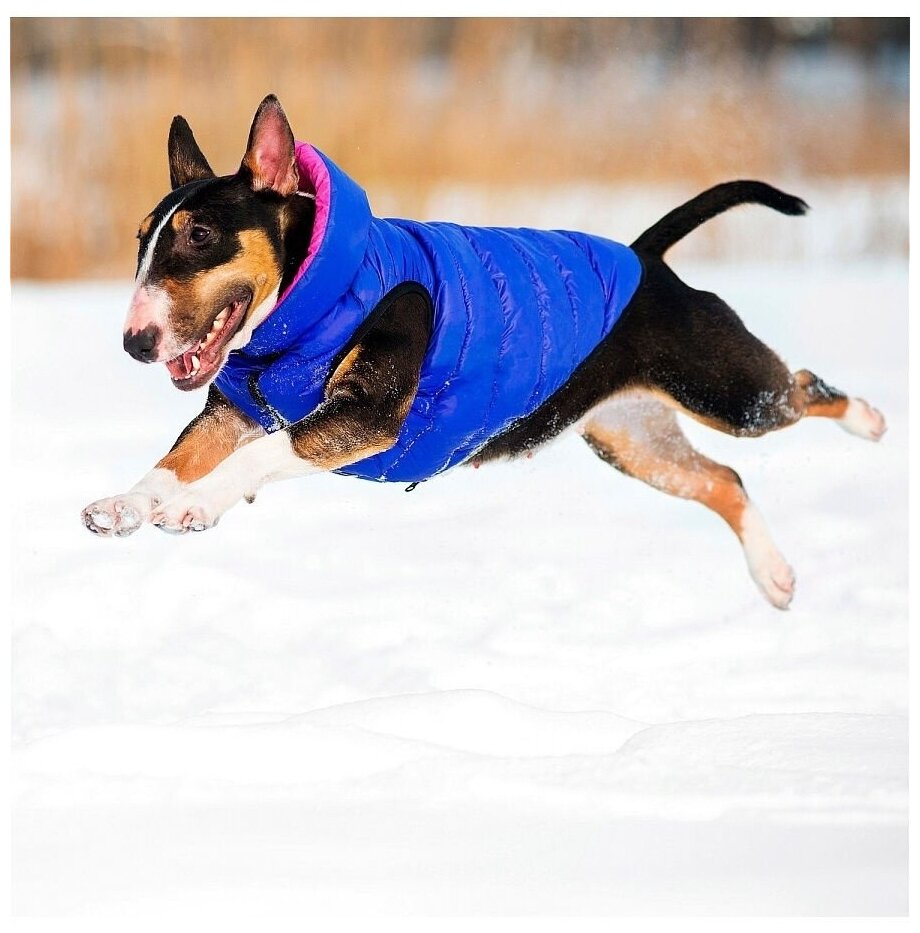 Курточка для собак AiryVest двусторонняя, размер L 55, розово-фиолетовая - фотография № 5